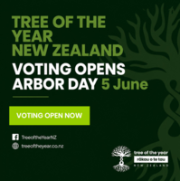 New Zealand Tree of the Year 2026